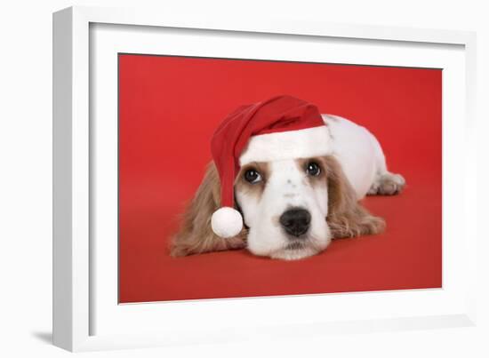 Cocker Spaniel Puppy Wearing Christmas Hat-null-Framed Photographic Print