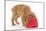 Cocker Spaniel Puppy with Head in Feeding Bowl-null-Mounted Photographic Print