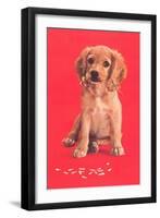 Cocker Spaniel Puppy-null-Framed Art Print