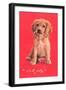 Cocker Spaniel Puppy-null-Framed Art Print