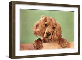 Cocker Spaniel Puppy-null-Framed Art Print