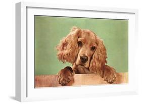 Cocker Spaniel Puppy-null-Framed Art Print
