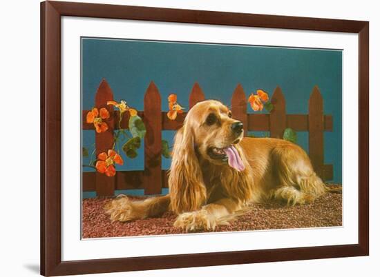 Cocker Spaniel, Retro-null-Framed Premium Giclee Print