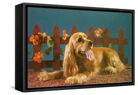 Cocker Spaniel, Retro-null-Framed Stretched Canvas