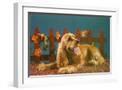 White Frame