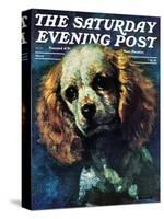 "Cocker Spaniel," Saturday Evening Post Cover, March 1, 1975-L. Mayer-Stretched Canvas