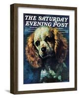 "Cocker Spaniel," Saturday Evening Post Cover, March 1, 1975-L. Mayer-Framed Giclee Print