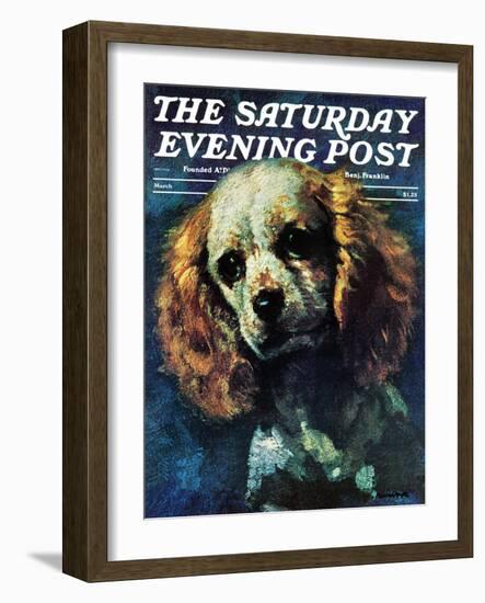 "Cocker Spaniel," Saturday Evening Post Cover, March 1, 1975-L. Mayer-Framed Giclee Print