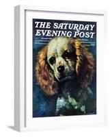 "Cocker Spaniel," Saturday Evening Post Cover, March 1, 1975-L. Mayer-Framed Giclee Print