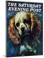 "Cocker Spaniel," Saturday Evening Post Cover, March 1, 1975-L. Mayer-Mounted Giclee Print