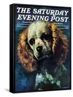 "Cocker Spaniel," Saturday Evening Post Cover, March 1, 1975-L. Mayer-Framed Stretched Canvas