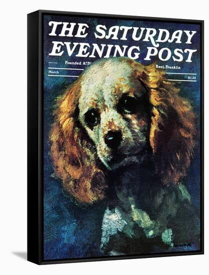 "Cocker Spaniel," Saturday Evening Post Cover, March 1, 1975-L. Mayer-Framed Stretched Canvas