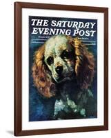 "Cocker Spaniel," Saturday Evening Post Cover, March 1, 1975-L. Mayer-Framed Giclee Print