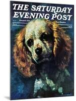"Cocker Spaniel," Saturday Evening Post Cover, March 1, 1975-L. Mayer-Mounted Giclee Print