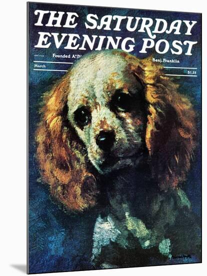 "Cocker Spaniel," Saturday Evening Post Cover, March 1, 1975-L. Mayer-Mounted Giclee Print