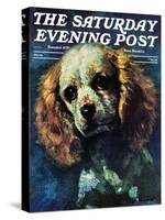 "Cocker Spaniel," Saturday Evening Post Cover, March 1, 1975-L. Mayer-Stretched Canvas