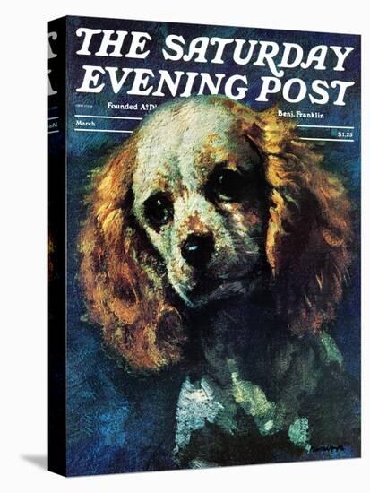 "Cocker Spaniel," Saturday Evening Post Cover, March 1, 1975-L. Mayer-Stretched Canvas