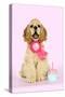 Cocker Spaniel Sitting Next to Cupcake Wearing-null-Stretched Canvas