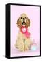 Cocker Spaniel Sitting Next to Cupcake Wearing-null-Framed Stretched Canvas