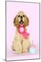 Cocker Spaniel Sitting Next to Cupcake Wearing-null-Mounted Photographic Print