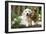 Cocker Spaniel Sitting on Bench with Golden-null-Framed Photographic Print