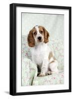 Cocker Spaniel Sitting on Chair-null-Framed Photographic Print