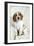 Cocker Spaniel Sitting on Chair-null-Framed Photographic Print