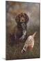 Cocker Spaniel Tia-Karie-Ann Cooper-Mounted Giclee Print