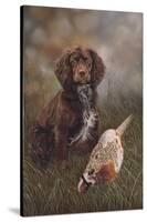 Cocker Spaniel Tia-Karie-Ann Cooper-Stretched Canvas