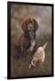 Cocker Spaniel Tia-Karie-Ann Cooper-Framed Giclee Print