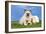 Cocker Spaniel with Cat Birman Kitten-null-Framed Photographic Print