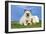 Cocker Spaniel with Cat Birman Kitten-null-Framed Photographic Print