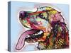 Cocker Spaniel-Dean Russo-Stretched Canvas