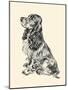 Cocker Spaniel-Lucy Dawson-Mounted Art Print