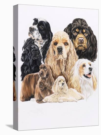 Cocker Spaniel-Barbara Keith-Stretched Canvas