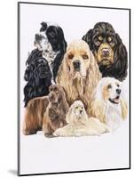 Cocker Spaniel-Barbara Keith-Mounted Giclee Print