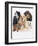 Cocker Spaniel-Barbara Keith-Framed Premium Giclee Print