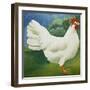 Cockerel, 2013-Jennifer Abbott-Framed Giclee Print