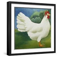 Cockerel, 2013-Jennifer Abbott-Framed Giclee Print