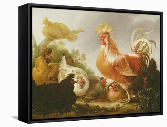 Cockerel and Hens in a Landscape, 1649-Gysbert Hondecoeter-Framed Stretched Canvas