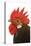 Cockerel Breed Bassette Liegeoise in Studio-null-Stretched Canvas