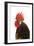 Cockerel Breed Bassette Liegeoise in Studio-null-Framed Photographic Print