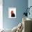 Cockerel Breed Bassette Liegeoise in Studio-null-Framed Photographic Print displayed on a wall