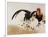 Cockerel, Hen and Chicks, 1892 (Hanging Scroll, Colored Lacquer on Prepared Paper)-Shibata Zeshin-Framed Giclee Print