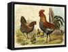 Cockerel, Hen and Chicks in a Farmyard-null-Framed Stretched Canvas