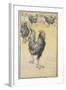 Cockerel-Theophile Alexandre Steinlen-Framed Giclee Print