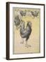 Cockerel-Theophile Alexandre Steinlen-Framed Giclee Print