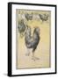 Cockerel-Theophile Alexandre Steinlen-Framed Giclee Print