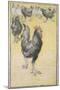 Cockerel-Theophile Alexandre Steinlen-Mounted Giclee Print