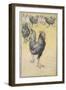 Cockerel-Theophile Alexandre Steinlen-Framed Giclee Print